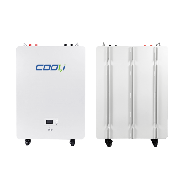 Batterie LiFePO4 Murale 48V/51.2V 100-314AH | BMS Intelligent