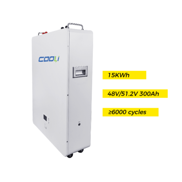 Batterie LiFePO4 Murale 48V/51.2V 100-314AH | BMS Intelligent