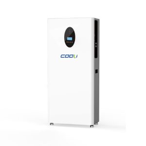 ESS Tout-en-Un : Onduleur Hybride 6KW + Batterie 15KWH